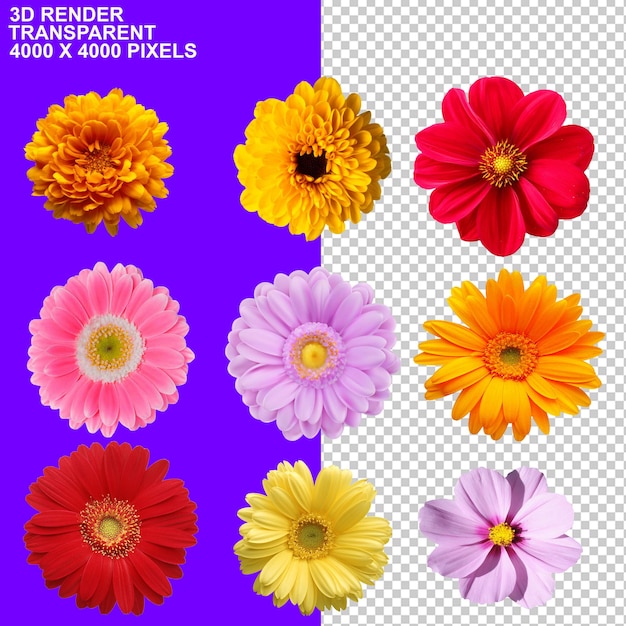 Fire hand Womens Day Butterflies Drink Splash Gift Bag Golden Numbers Flowers ColoursPaint