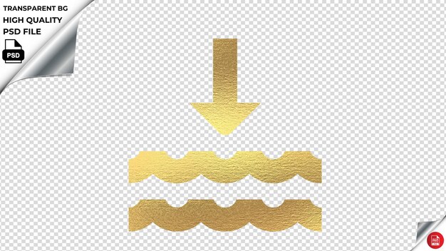 PSD firrinputtext gold texture vector icon psd transparent