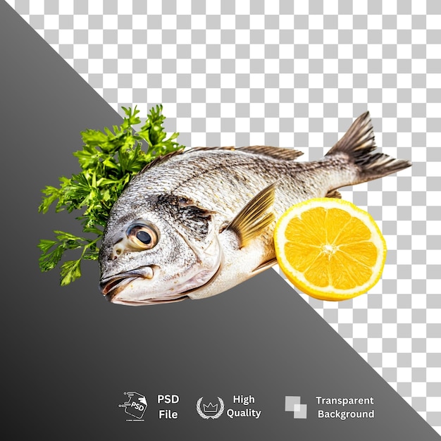 fish isolated on transparent background