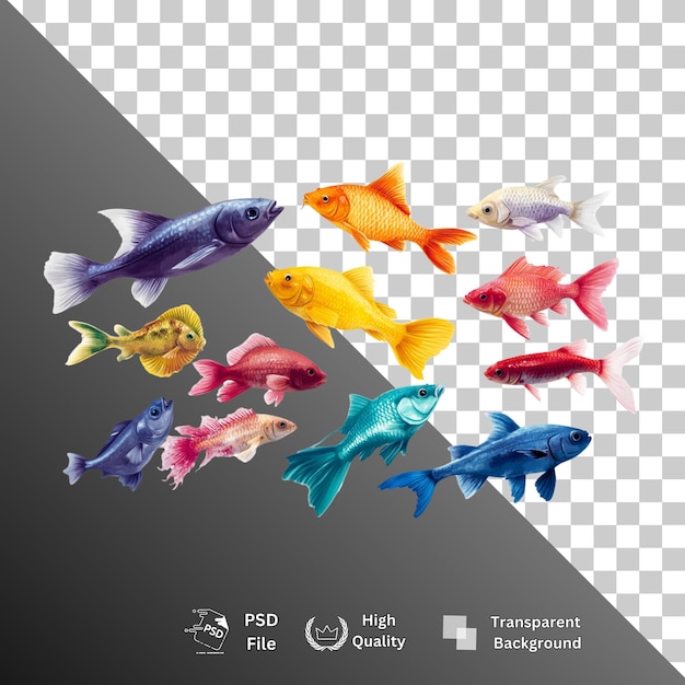 fish isolated on transparent background
