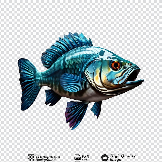 PSD fish isolated on transparent background