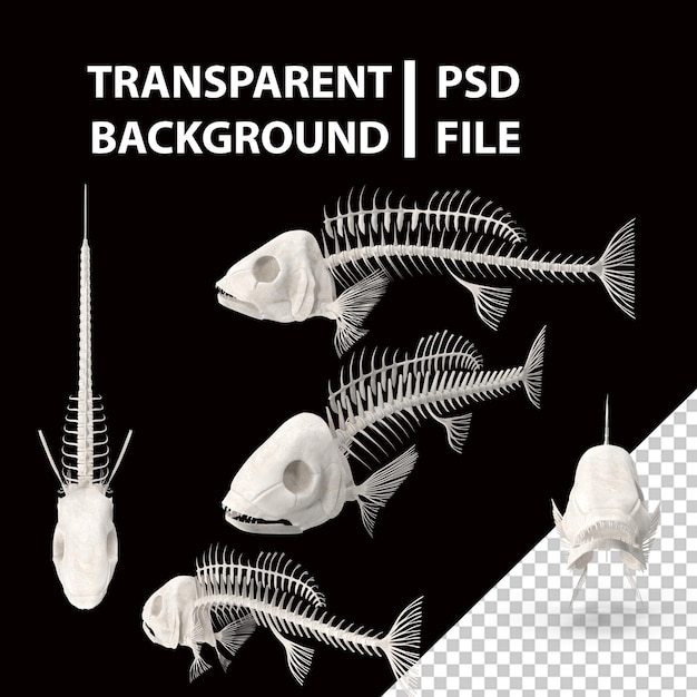 Premium PSD  Fish skeleton png