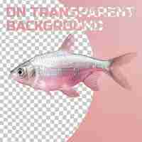 PSD a fish with a pink background that says  on it