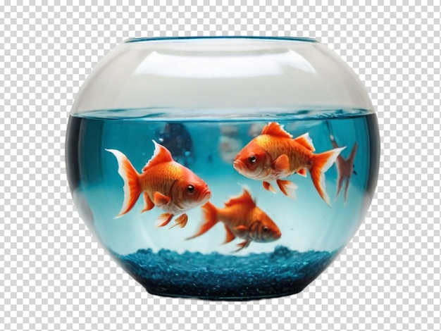 PSD fishbowl png