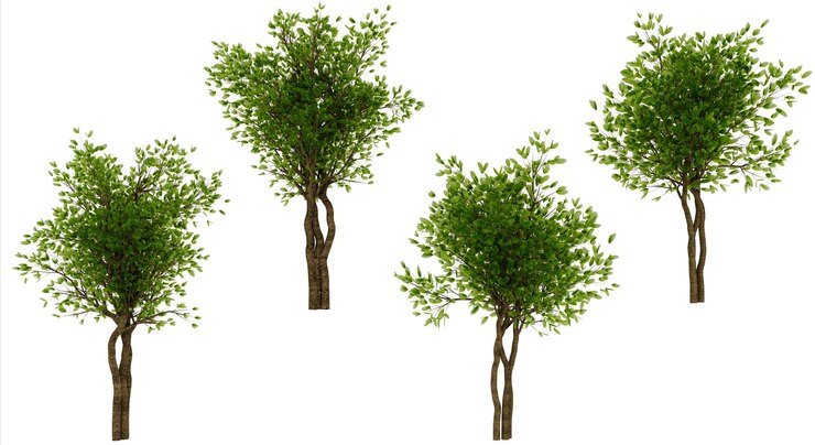 PSD five green trees nature foliage spring summer