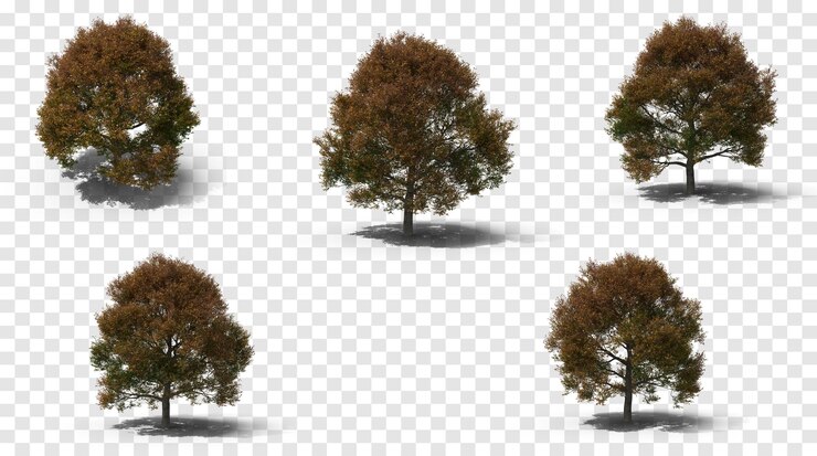 PSD fivetrees with autumn foliage