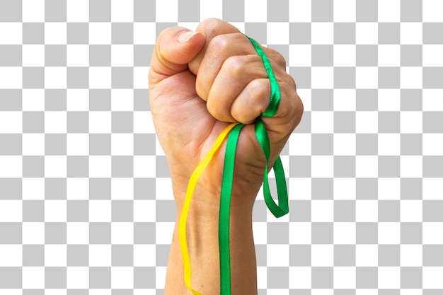 Flag and Independence Day Image Holding green and yellow ribbons of Brazil flag isolated on white background