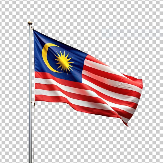 PSD 말레이시아 국기 (malaysia flag)