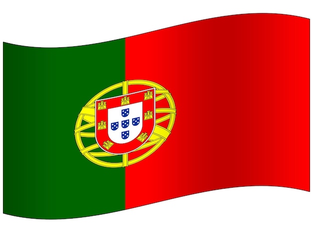 PSD flag of portugal