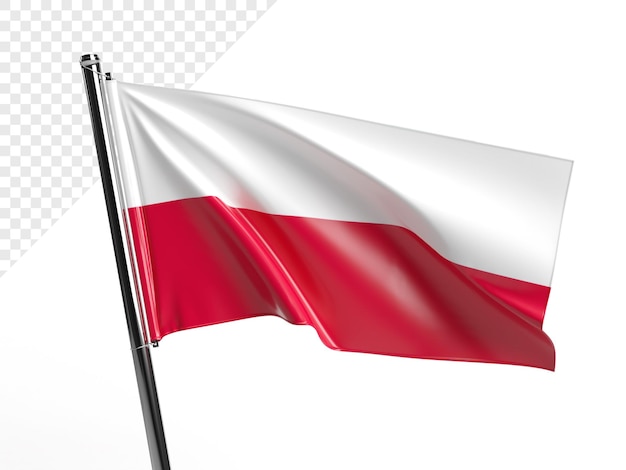 PSD flaga polska