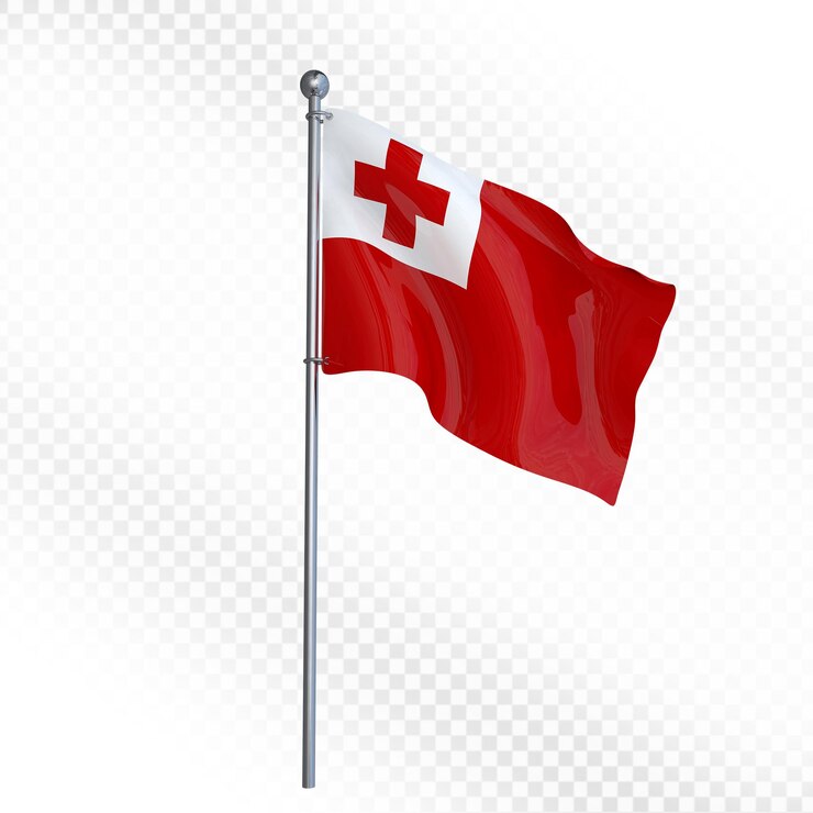 PSD flaga tonga macha na słupie