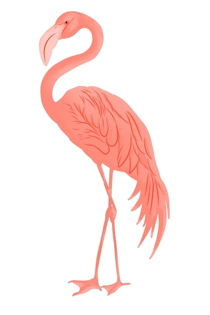 flamingo tegning