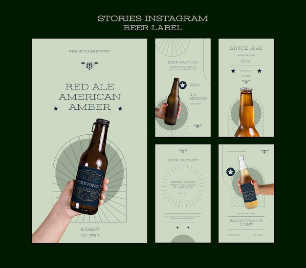 Etichetta di birra a disegno piatto storie instagram