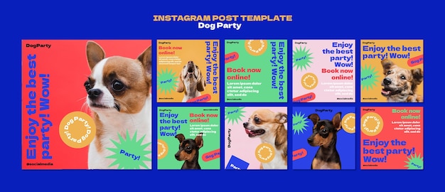 PSD Плоский дизайн постов в instagram для собачьей вечеринки