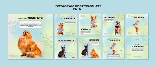 PSD flat design pet template