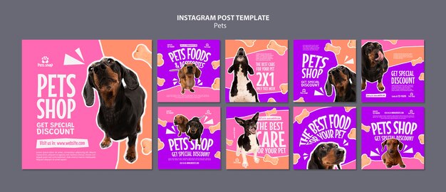 PSD modello per animali domestici dal design piatto