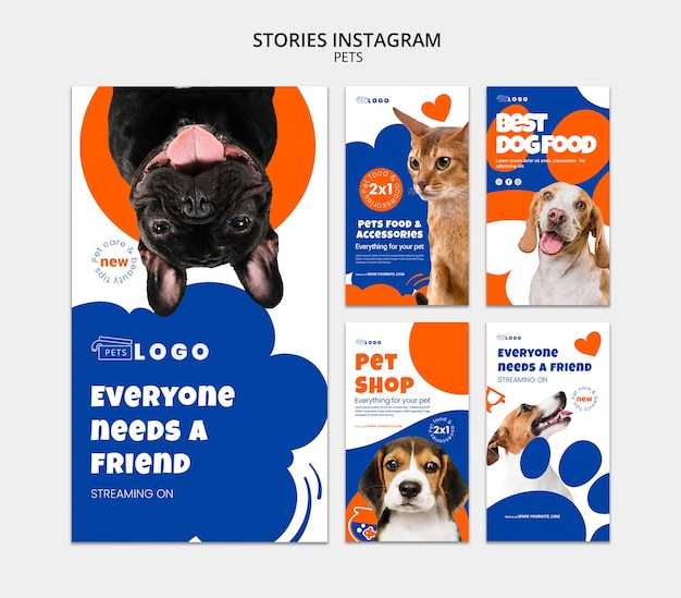flat design pets care instagram stories