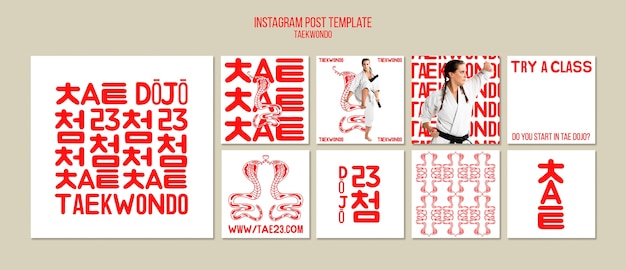 PSD flat design taekwondo template