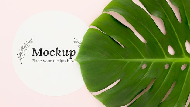 PSD flat lay arrangement of green leaves with mock-up