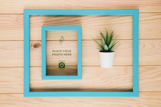 Flat lay of frame in frame with succulent