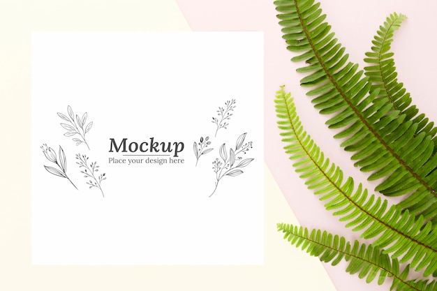 PSD flat lay green leaves arrangement with mock-up