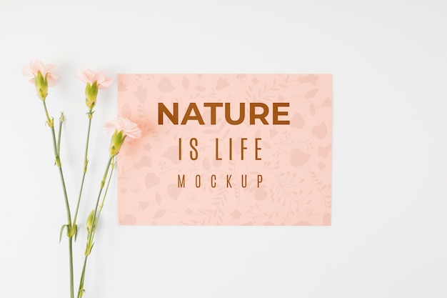 Flat lay mock-up nature is life quote