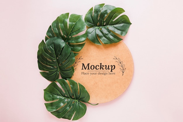 PSD flat lay plants arrangement mock-up