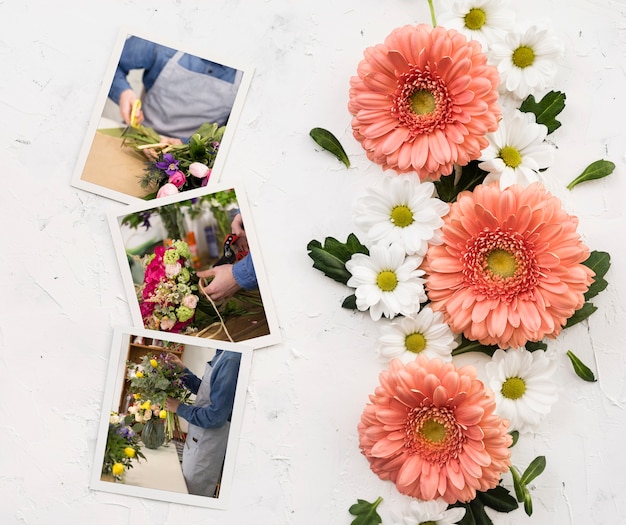 Flat lay of spring chamomile and daisies with photos