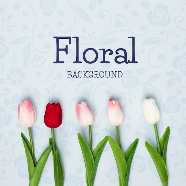 PSD flat lay of spring tulips