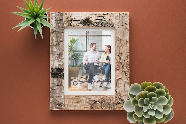 Flat lay of wooden frame with succulents