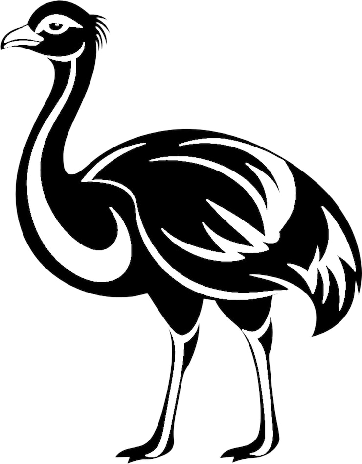 PSD flightless african bird with long neck legs silhouette in striking black