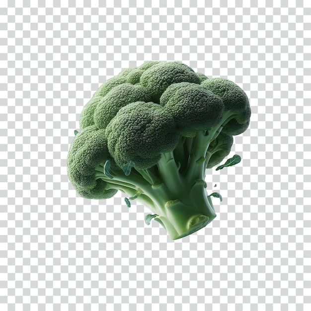 PSD floating broccoli transparent background