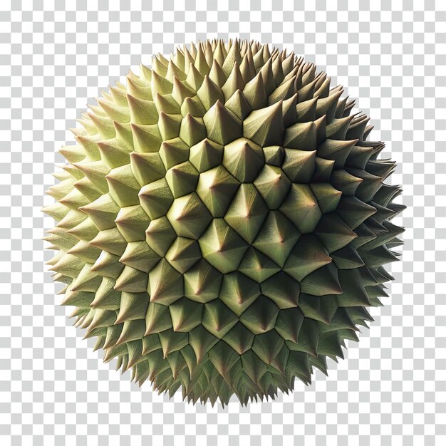 Floating durian transparent background