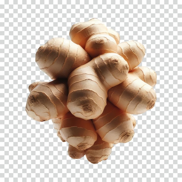 PSD floating ginger transparent background