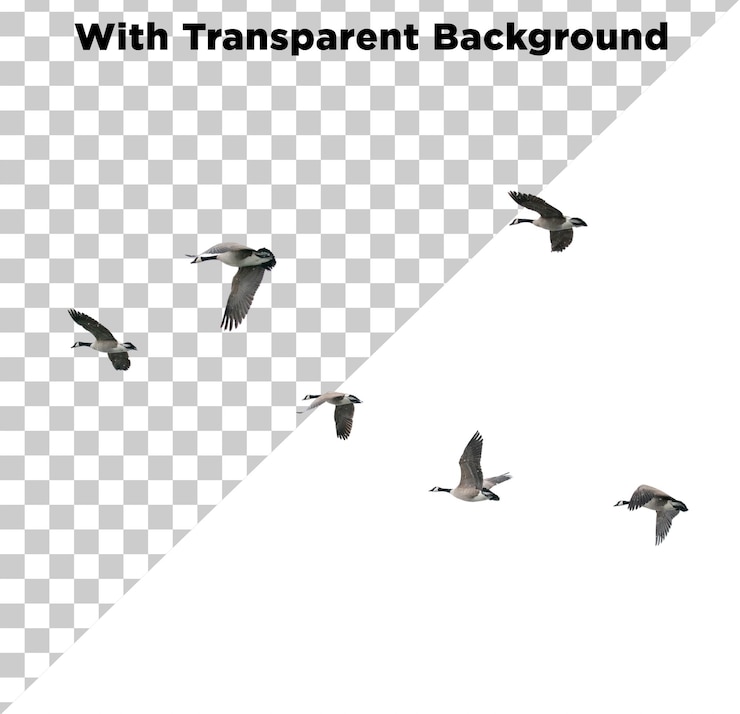 PSD flock of birds in sky