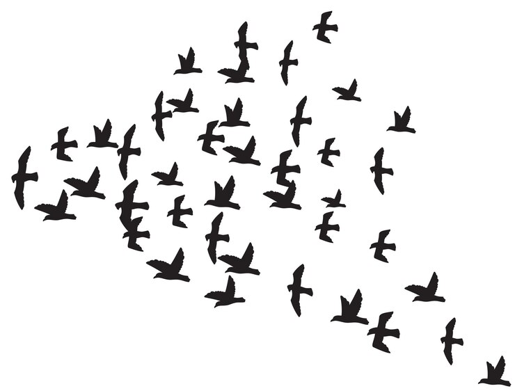 PSD flock of flying birds