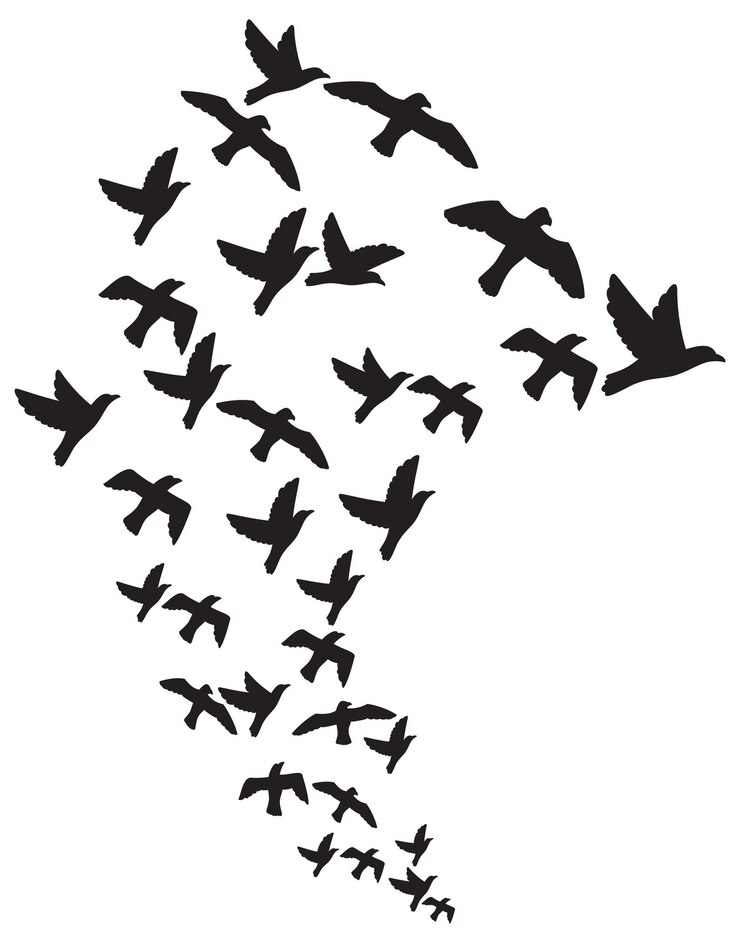 PSD flock of flying birds
