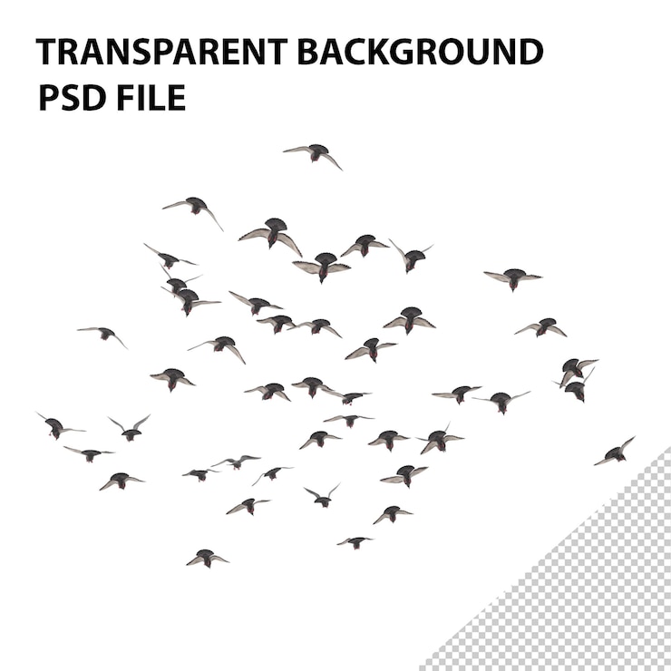 PSD flocking birds isolated on white background