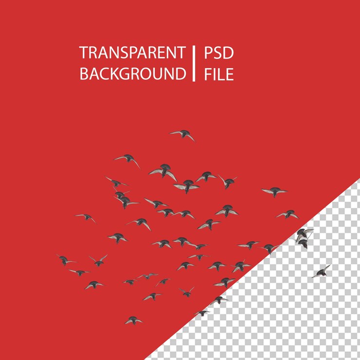 PSD flocking birds png