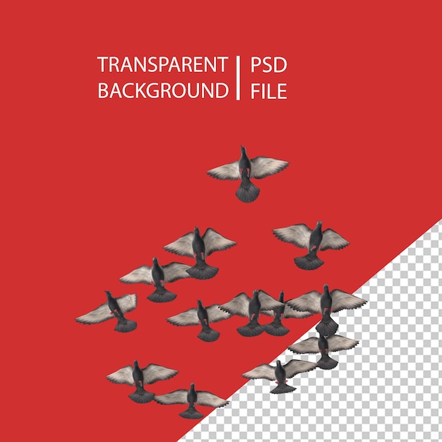 PSD flocking birds png