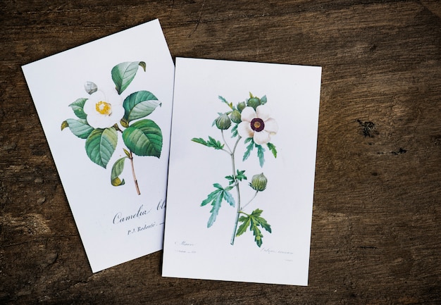 Floral designed greeting cards