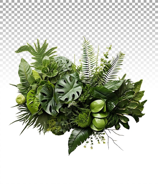 PSD floral paradise foliage plants on clear background