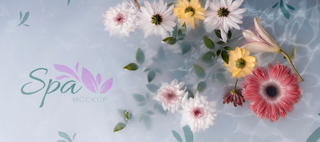 Floral spa concept mock-up