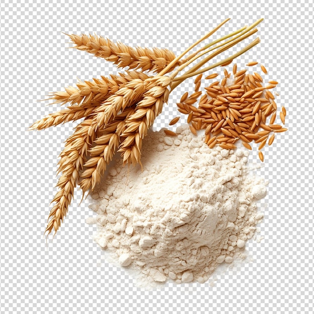 PSD Мука и пшеница лежали на прозрачном фоне