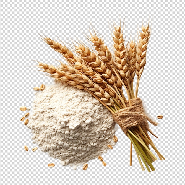 PSD flour and wheat flat lay on a transparent background