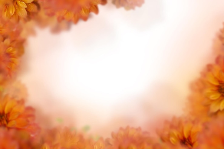 PSD 꽃 배경 오버레이 꽃