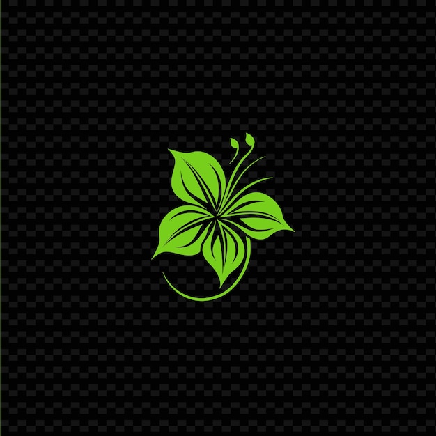 Un fiore su uno sfondo nero con una foglia verde