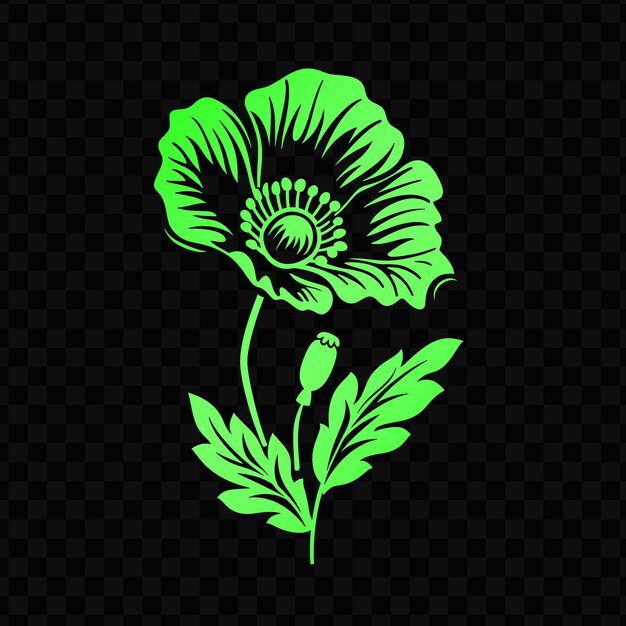 A flower on a black background with a green leaf