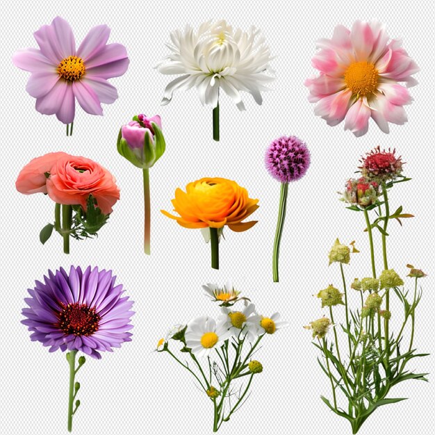 PSD bouquet di fiori png