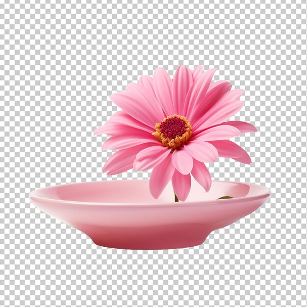 PSD flower from petals and pot saucer png